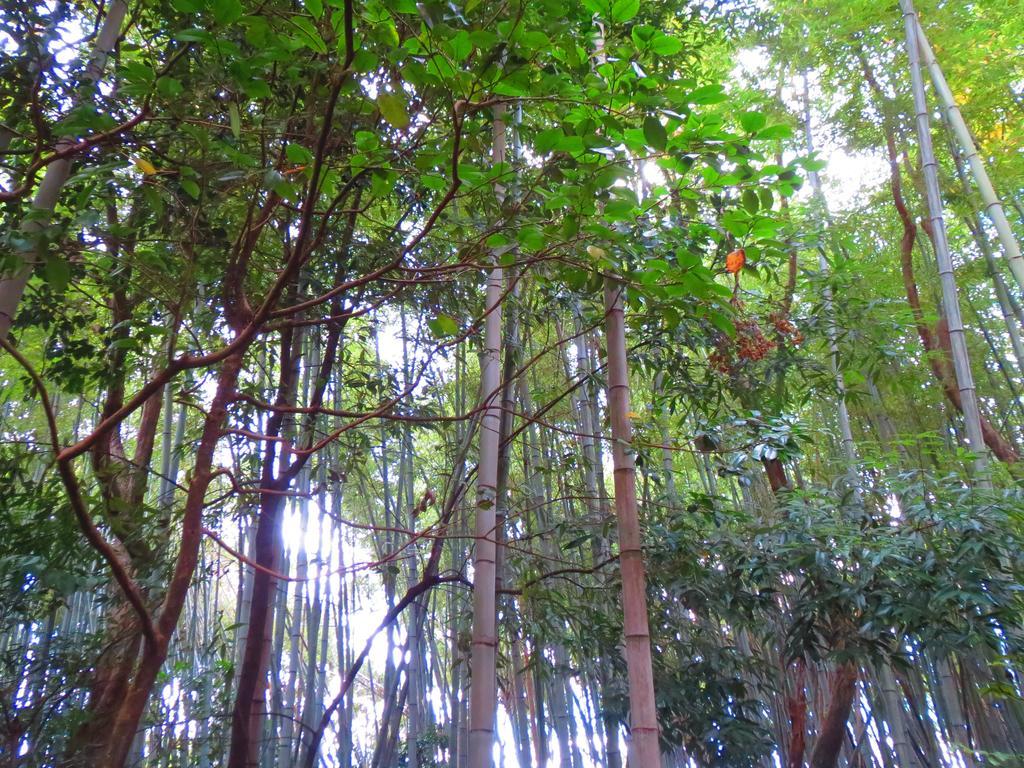 Murasakino Guesthouse Kioto Exterior foto